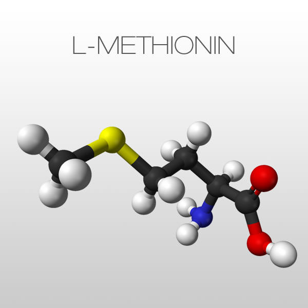 l-methionin-tiles-600x600.jpg